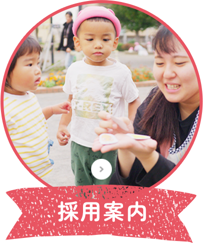 採用案内